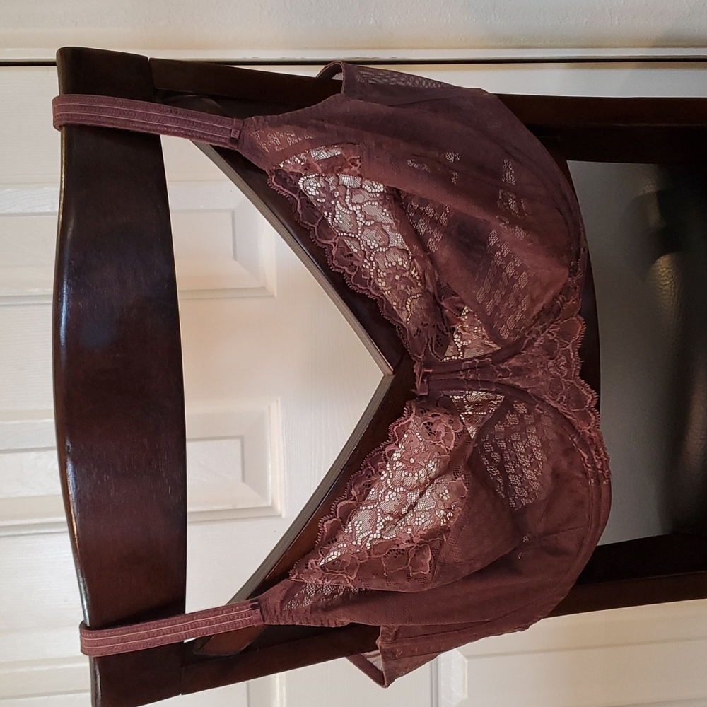 Gently worn PANACHE Envy Full Cup Underwire Bra in Chestnut 36J
